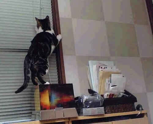 fb体育平台官网-数字化战术分析系统在青少年比赛中广泛应用，提升训练效率，数字化战士