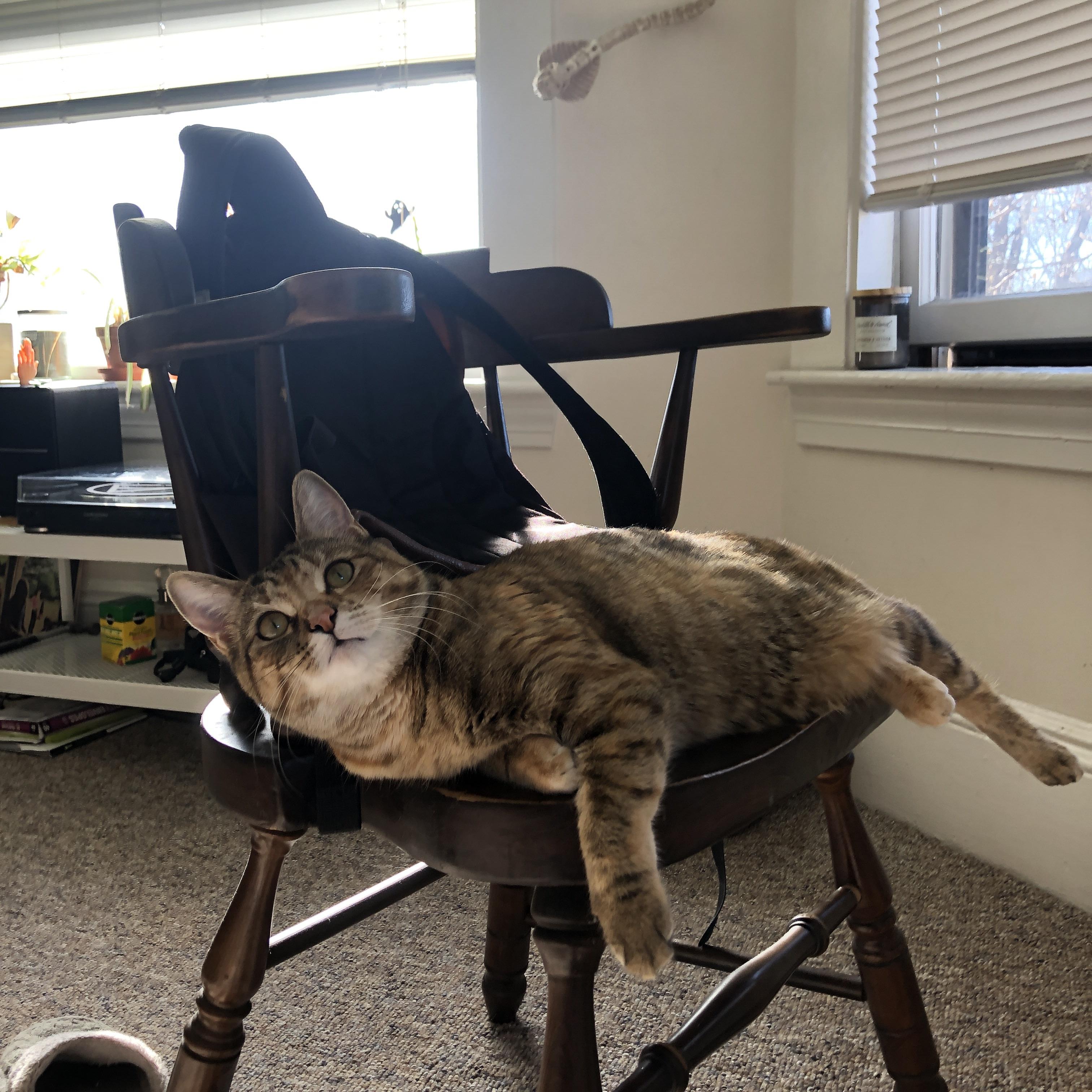 fb体育官网首页-欧洲顶级“名帅”背后的“夺冠秘技”，欧洲冠军16强