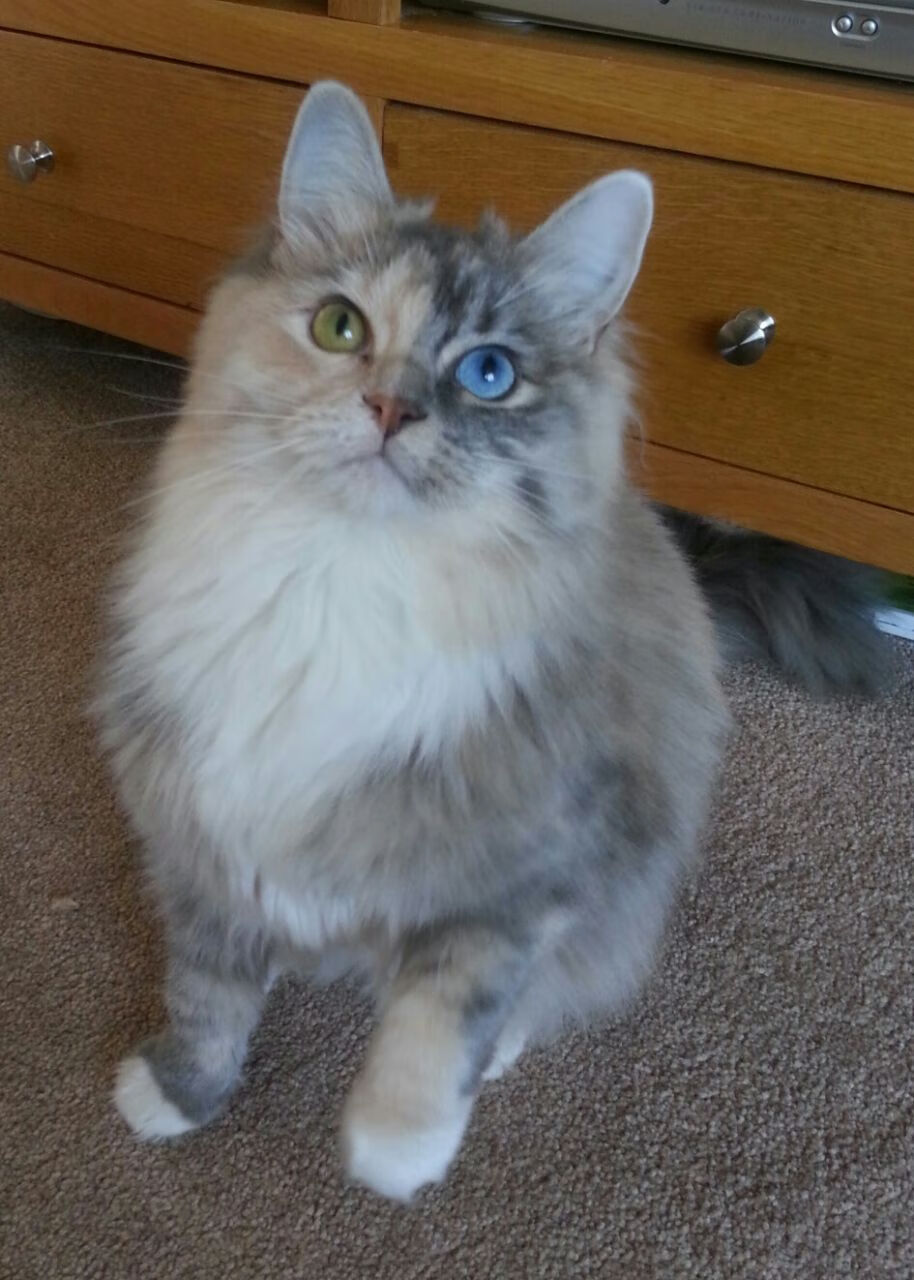 fb体育登录入口-费城76人恩比德持续“30+”表现，成为联盟得分新宠！，76人恩比德最新伤情