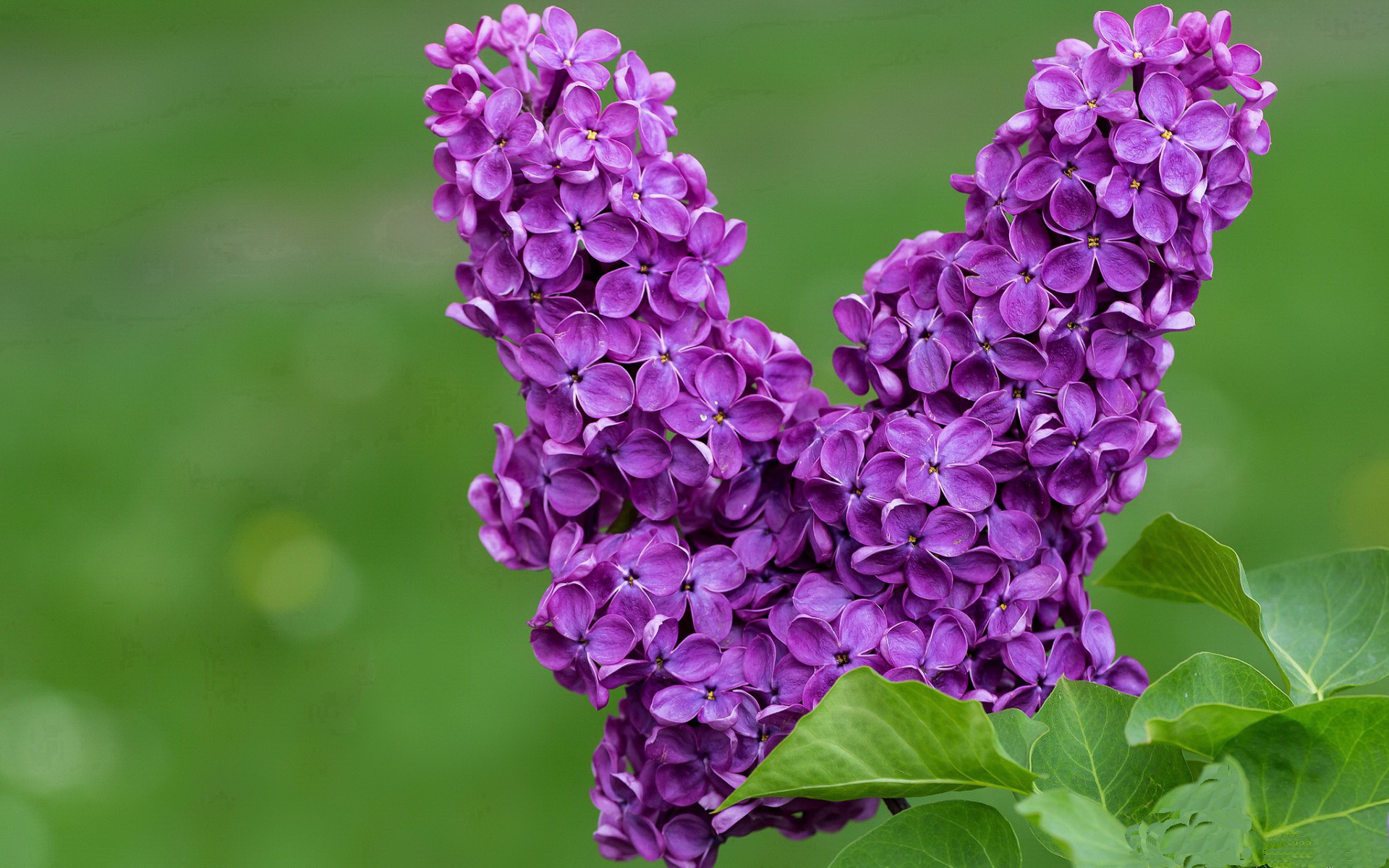 fb体育-迪奥戈·科斯塔在对阵斯洛文尼亚的比赛中扑出三粒点球，创欧洲杯纪录。