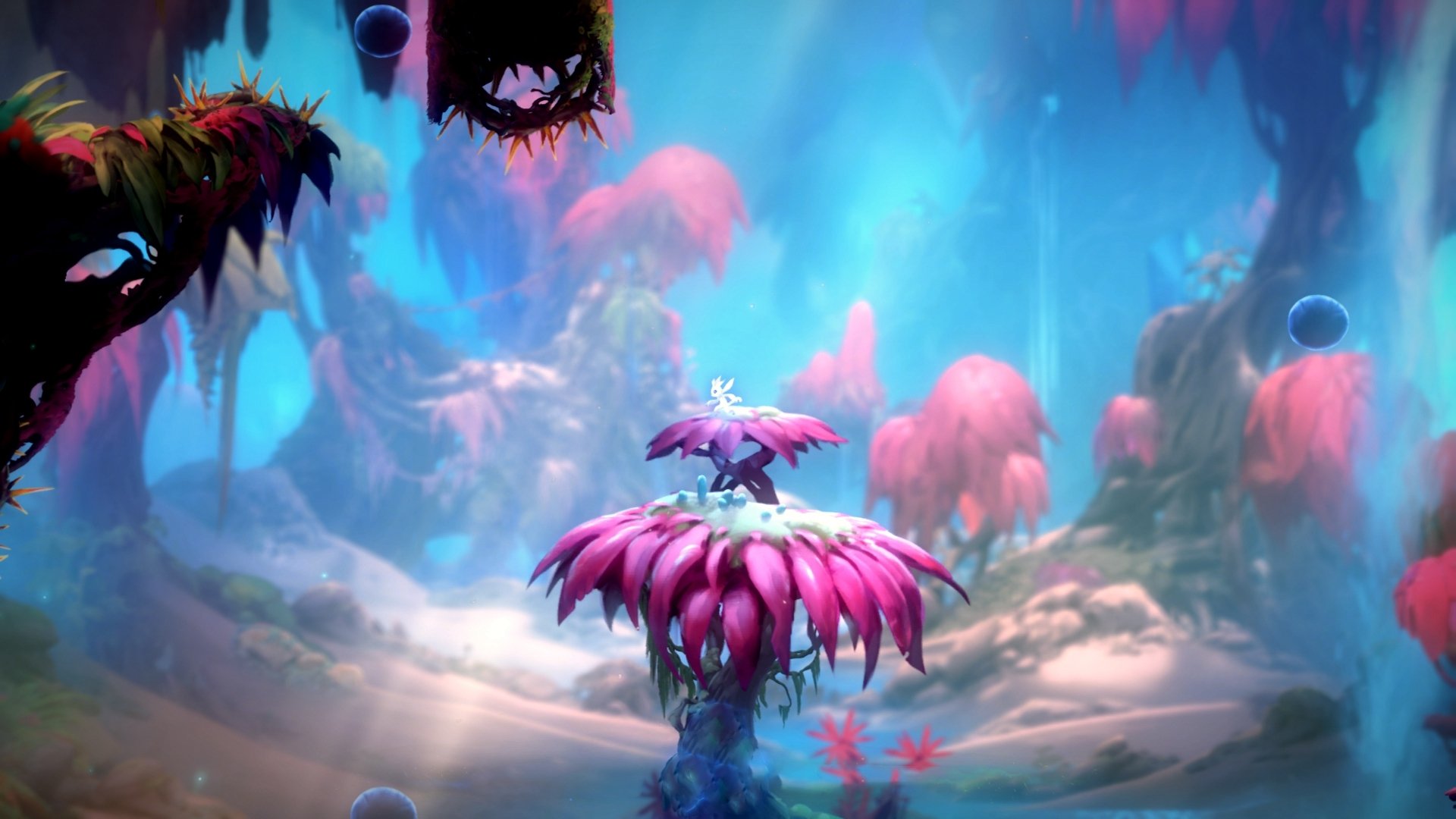 fb体育中国官网-勒沃库森主场3-0战胜云达不莱梅，继续领跑德甲，勒沃库森最新转会