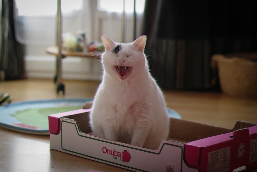 大比分差距下的比赛仍然引人入胜,大比分的作用