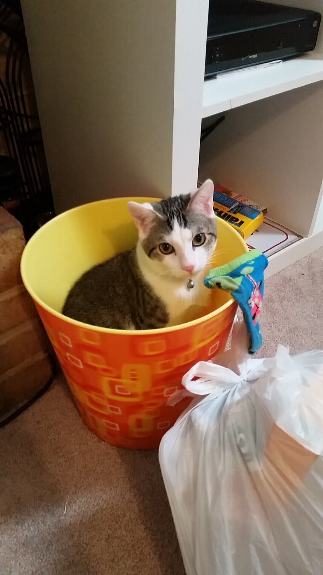 fb体育注册网址-山东泰山球员赛后采访，山东泰山球员留言