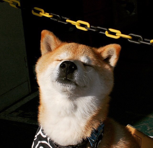 fb体育官网入口-欧锦赛资格赛第二轮对决，势均力敌争夺晋级，欧锦赛2021赛制