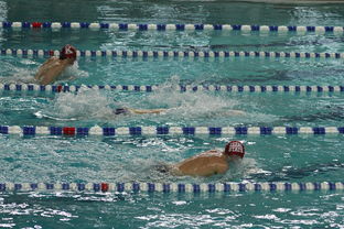 fb体育-世界短池游泳锦标赛多项世界纪录诞生，第一届世界短池游泳锦标赛