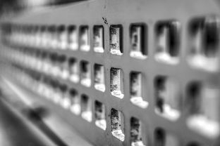 fb体育官网入口-高校运动训练科学管理模式创新实践，运动训练科研管理工作要求