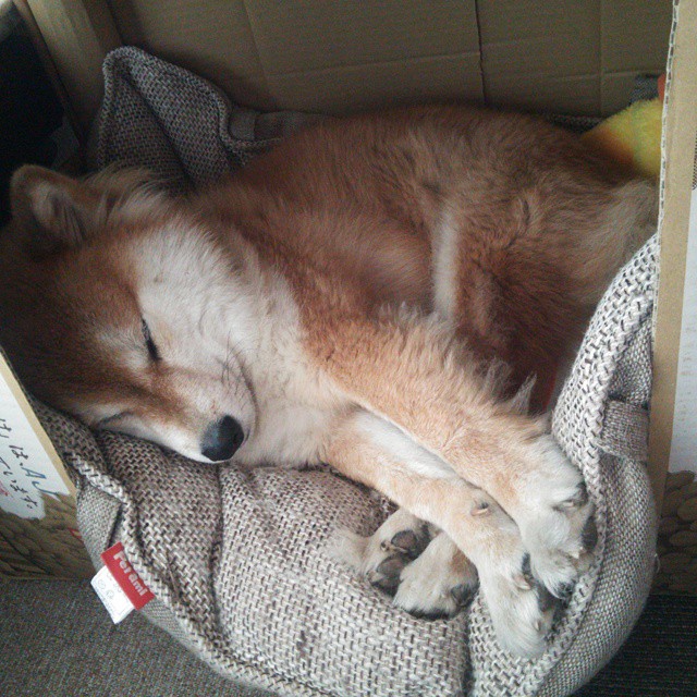 fb体育平台-世界杯历史一胜：小组赛胜黎巴嫩 100‑70