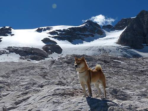 fb体育试玩-五大联赛球队防守提升与轮换策略灵活关系，五大联赛轮数