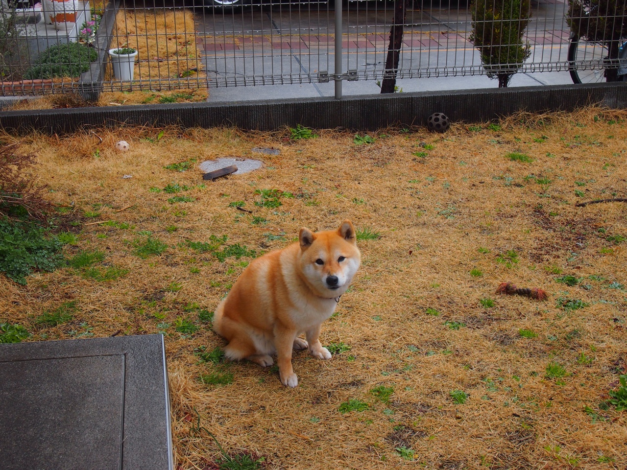 fb体育网站-世界杯精彩瞬间：动人心弦，令人难忘！，世界杯震撼的场景